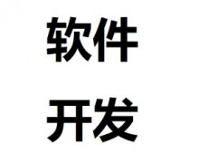 专业各类app开发+小程序开发+公众号开发+网站开发
